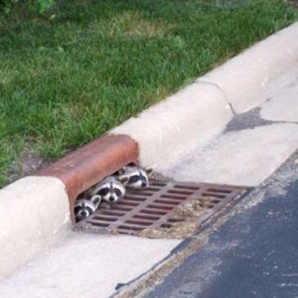 Hi, I’m Michelle❣️ - Picture 9 of 13